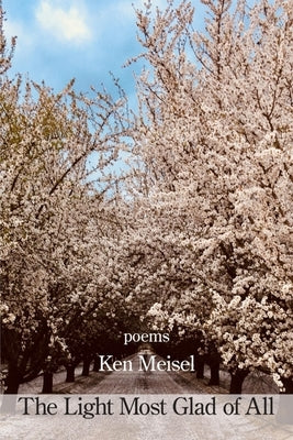 The Light Most Glad of All by Meisel, Ken