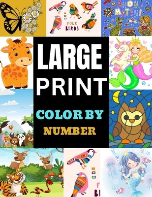 Large Print Color by Number: Easy designs coloring book for adults by Goodman, Pearl C.