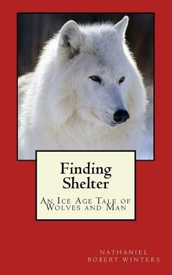 Finding Shelter from the Cold by Winters, Nathaniel Robert