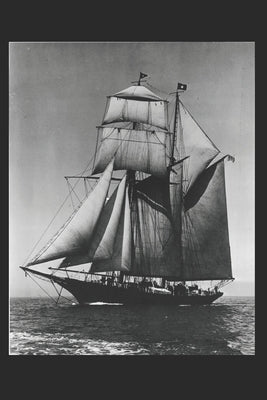 A Pacific Princess by Hart, W. Matthew