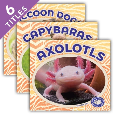 Odd But Adorable Animals (Set) by