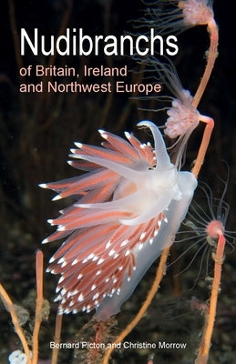 Nudibranchs of Britain, Ireland and Northwest Europe by Picton, Bernard