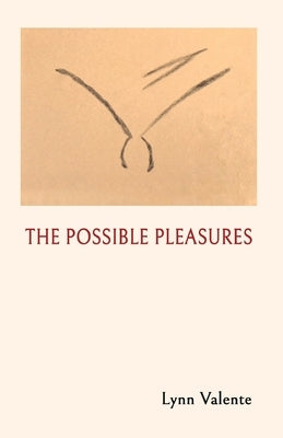 The Possible Pleasures by Valente, Lynn