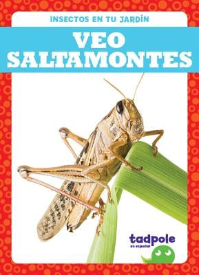 Veo Saltamontes (I See Grasshoppers) by Nilsen, Genevieve