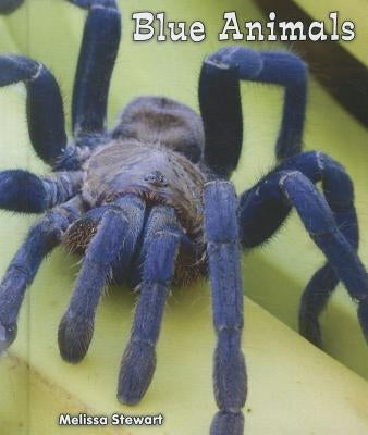 Blue Animals by Stewart, Melissa