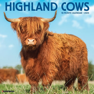 Highland Cows 2026 12 X 12 Wall Calendar by Willow Creek Press