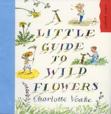 A Little Guide to Wild Flowers by Voake, Charlotte