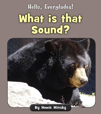 What Is That Sound? by Minsky, Howie