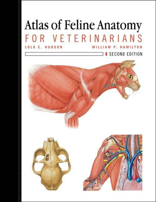 Atlas of Feline Anatomy: For Veterinarians by Hudson, Lola