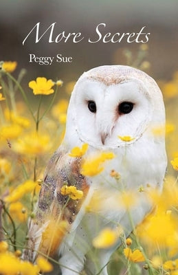 More Secrets by Peggy Sue