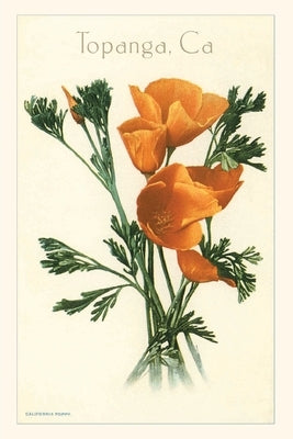 The Vintage Journal Poppies, Topanga, California by Found Image Press