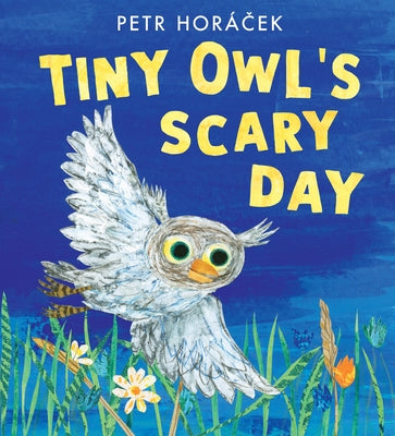 Tiny Owl's Scary Day by Hor?cek, Petr