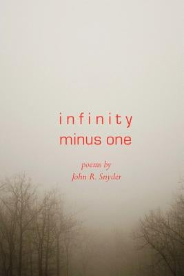 Infinity Minus One by Snyder, John R.