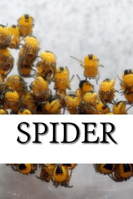 Spider by Spider