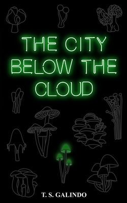 The City Below the Cloud by Galindo, S. B.