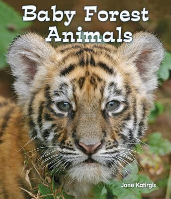 Baby Forest Animals by Katirgis, Jane