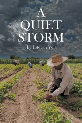 A Quiet Storm by Vela, Estevan