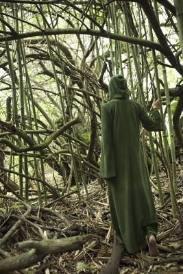 The Witch of Endor: A Christian Novel by Lee, Summer