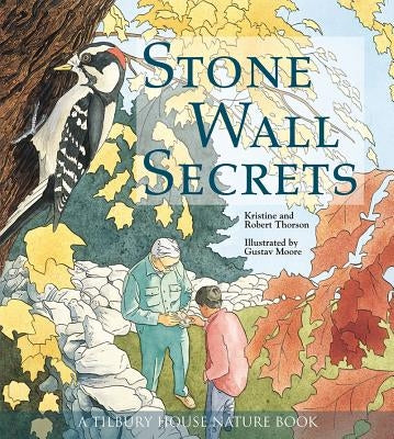 Stone Wall Secrets by Thorson, Kristie