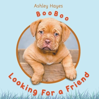 Booboo Looking for a Friend by Hayes, Ashley