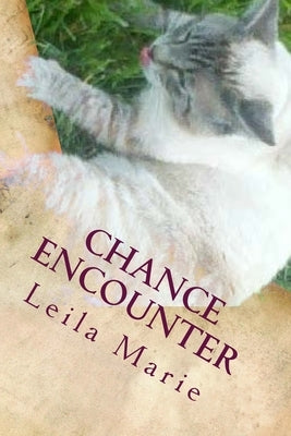 Chance Encounter: The Journey Emerald's Travels by Marie, Leila