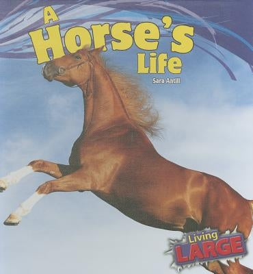 A Horses Life by Antill, Sara
