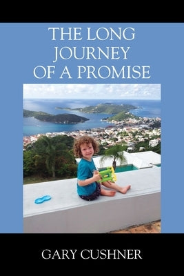 The Long Journey of a Promise by Cushner, Gary
