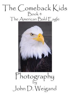 The Comeback Kids, Book 4, the American Bald Eagle by Weigand, John D.