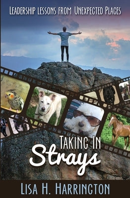 Taking In Strays: Leadership Lessons From Unexpected Places by Harrington, Lisa H.