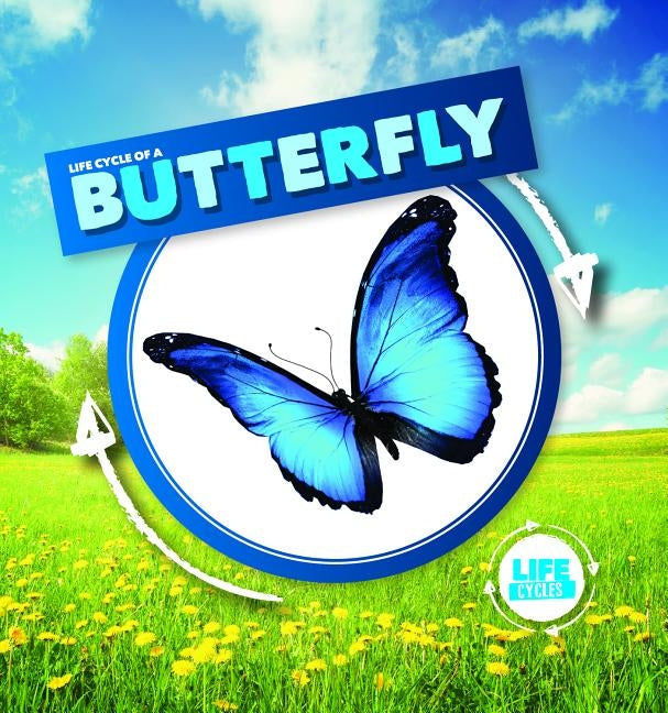 Life Cycle of a Butterfly by Holmes, Kirsty