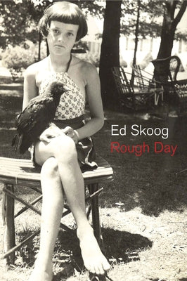 Rough Day by Skoog, Ed