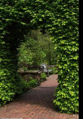 No Words: Mastering Nonverbal Communication by Schmidt, Christy a.