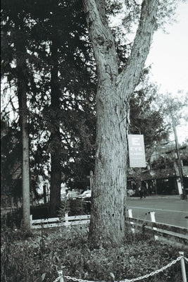 Icons by Noeldechen, Joan