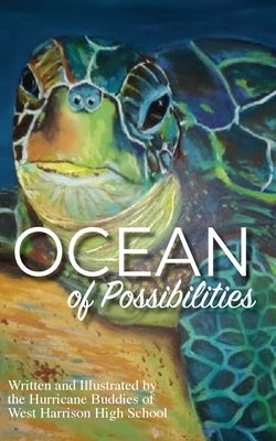 Ocean of Possibilities by Hurricane Buddies