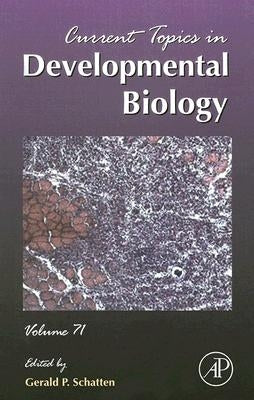 Current Topics in Developmental Biology: Volume 71 by Schatten, Gerald P.