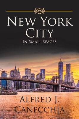 New York City: In Small Spaces by Canecchia, Alfred J.