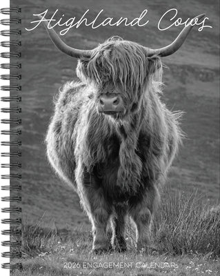 Highland Cows 2026 6.5 X 8.5 Engagement Calendar by Willow Creek Press