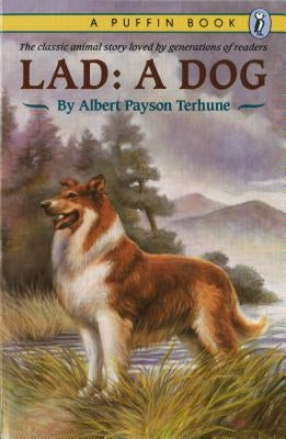 Lad: A Dog by Terhune, Albert Payson