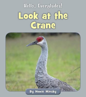 Look at the Crane by Minsky, Howie