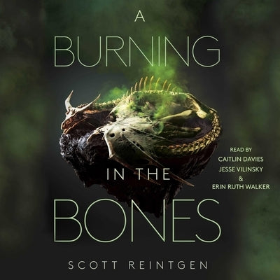 A Burning in the Bones by Reintgen, Scott