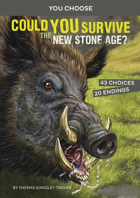 Could You Survive the New Stone Age?: An Interactive Prehistoric Adventure by Calle Velez, Juan