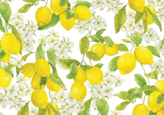 Amalfi Lemons Note Cards (14 Cards, 15 Self-Sealing Envelopes) by