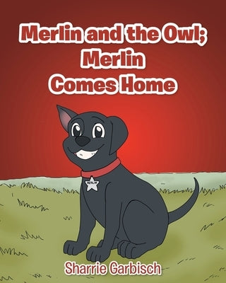 Merlin and the Owl: Merlin Comes Home by Garbisch, Sharrie