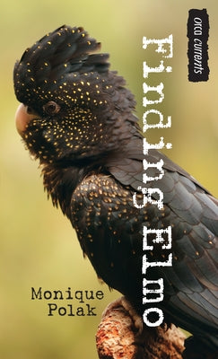 Finding Elmo by Polak, Monique