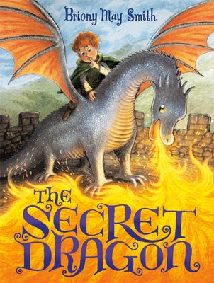 The Secret Dragon by Smith, Briony May
