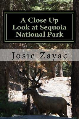 A Close Up Look at Sequoia National Park by Zayac, Josie
