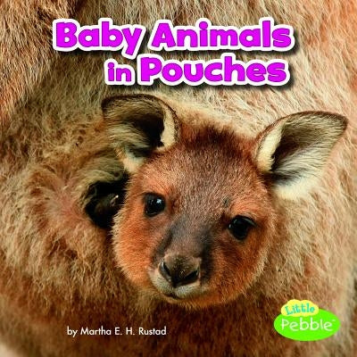 Baby Animals in Pouches by Rustad, Martha E. H.