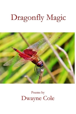 Dragonfly Magic by Cole, Dwayne