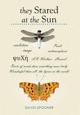 They Stared at the Sun by Spooner, David
