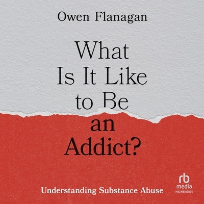 What Is It Like to Be an Addict?: Understanding Substance Abuse by Flanagan, Owen